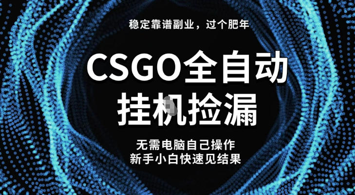 【稳定副业】全球最热门游戏CSGO全自动捡漏，最新玩法，新手小白日入5张+【揭秘】-御文网