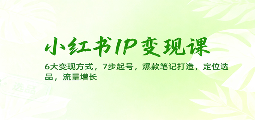 小红书IP变现课：6大变现方式，7步起号，爆款笔记打造，定位选品，流量增长-御文网