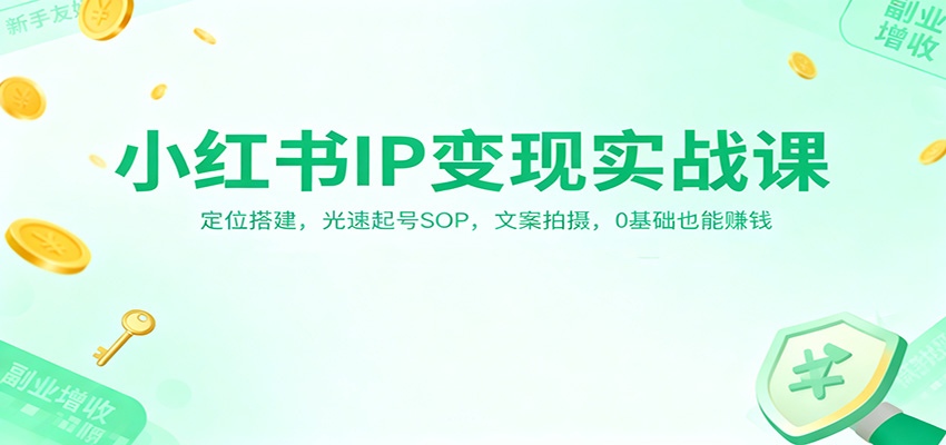 小红书IP变现实战课：定位搭建，光速起号SOP，文案拍摄，0基础也能赚钱-御文网