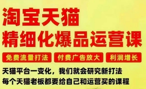 淘宝天猫精细化爆品运营课，免费流量打法-付费广告放大-利润增长-三大核心痛点，一次全部解决-御文网