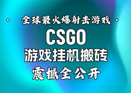 【年底大揭秘】基于全球最火爆的射击CSGO游戏挂G搬砖，日入5张+，震撼公开-御文网