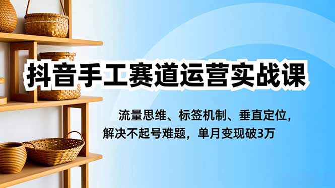 抖音手工赛道运营实战课，流量思维、标签机制、垂直定位，解决不起号难题，单月变现破3万-御文网