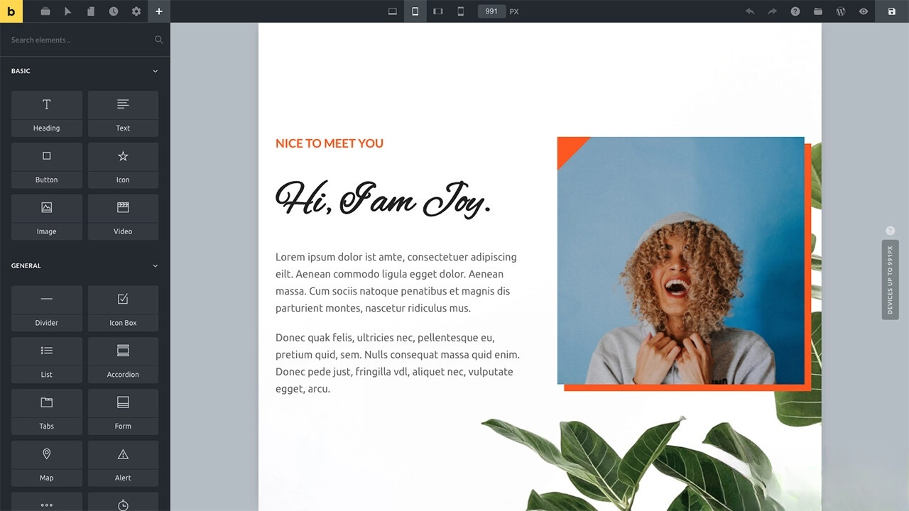 WordPress主题Bricks v1.9 破解版-御文网