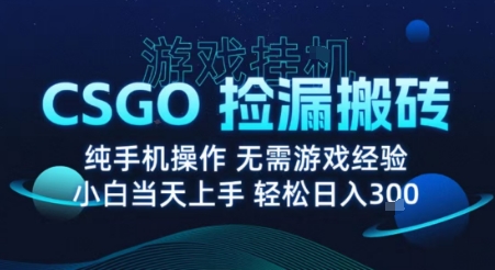 8月最新游戏搬砖，CSGO纯挂G，不需要玩游戏，实现真挂G，月入1W+【揭秘】-御文网