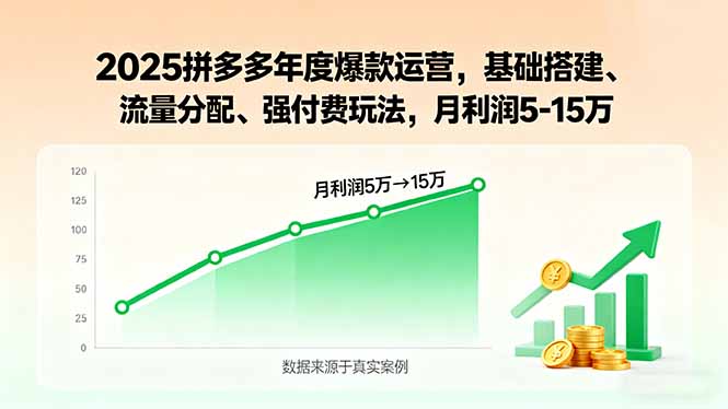 2025拼多多年度爆款运营，基础搭建、流量分配、强付费玩法，月利润5-15万-御文网