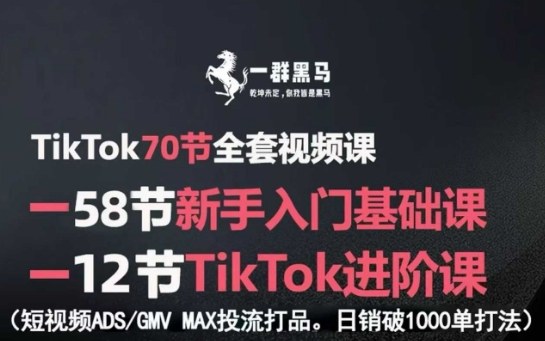 TikTok全套视频课，新手入门+进阶课，短视频ADS-GMV MAX投流打品，日销破1000单打法-御文网