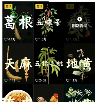 抖音中草药赛道，用AI做中草药故事视频，45条作品涨粉13W，橱窗带货猛猛出单