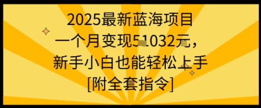 2025最新蓝海项目一个月变现1w+新手小白也能轻松上手【附全套指令】-御文网