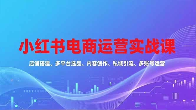 小红书电商运营实战课，店铺搭建、多平台选品、内容创作、私域引流、多账号运营等玩法-御文网
