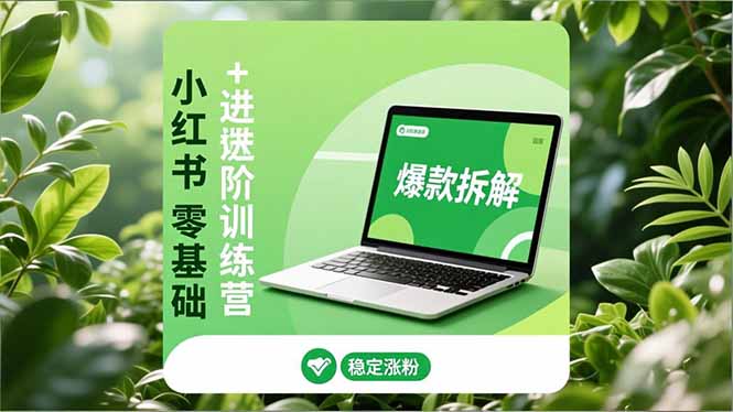 小红书零基础+高阶训练营：安全养号、爆款拆解、长效运营，实现稳定涨粉与变现-御文网