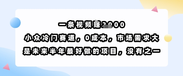 一条视频挣1k，小众冷门赛道，0成本，市场需求大，是未来半年最好做的项目，没有之一-御文网