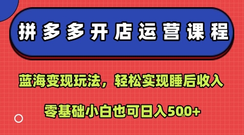 拼多多开店运营课程：蓝海变现玩法，轻松实现睡后收入，零基础小白也可日入5张-御文网
