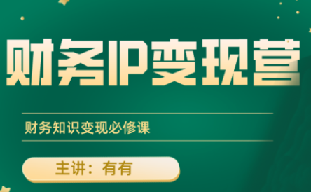 有有老师·财务IP变现营，财务知识变现必修课-御文网