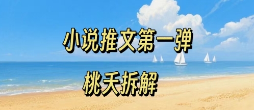 小说推文项目操作全流程第一弹，0粉就能做，门槛低非常适合新手-御文网