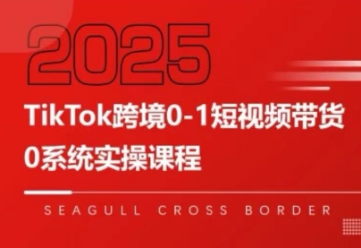 大亿老师·TikTok跨境0-1短视频带货-御文网