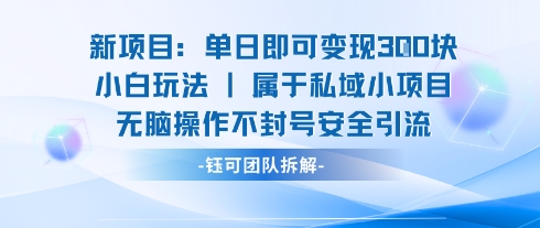 新项目单日即可变现3张的小白玩法无脑操作不封号安全引流-御文网