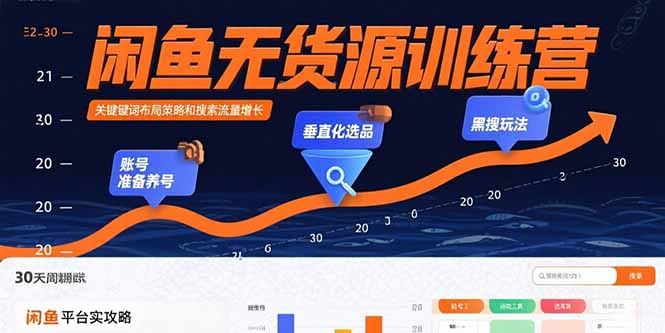 闲鱼无货源训练营：账号准备养号/垂直化选品/黑搜玩法，0基础30天盈利指南-御文网