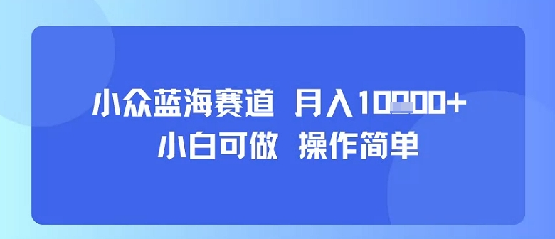 小众蓝海赛道，小白可做，操作简单，每天30分钟，月入1W+-御文网