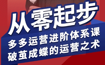 拼多多运营进阶系统课，从零起步，多多运营进阶体系课，破茧成蝶的运营之术-御文网