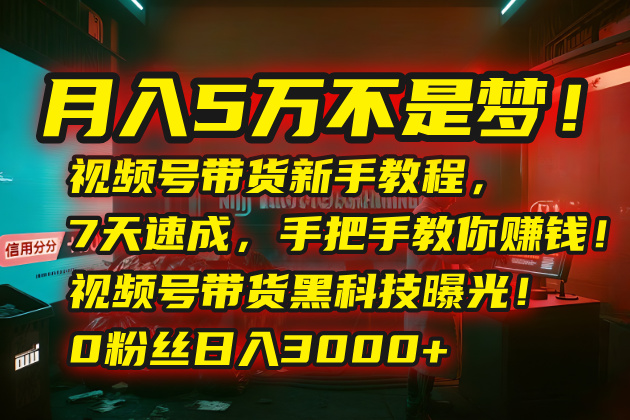 月入5万不是梦！视频号带货新手教程，7天速成，手把手教你赚钱！视频号...-御文网