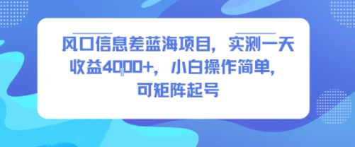 风口信息差蓝海项目，实测一天收益4k+，小白操作简单，可矩阵起号-御文网