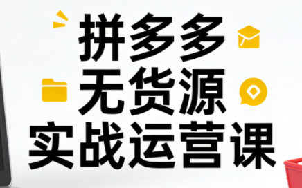 子枫老师·拼多多无货源实战运营课(更新12月)-御文网