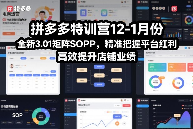 拼多多特训营12-1月份，全新3.01矩阵Sop，精准把握平台红利，高效提升店铺业绩-御文网
