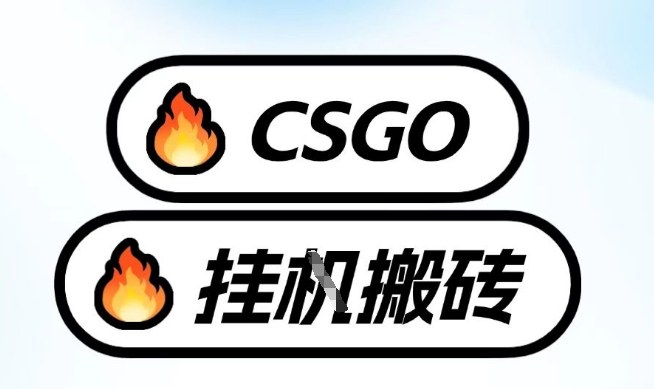 真全网独家CSGO挂G，最新玩法,单日捡漏1K+，不用电脑，不用打游戏【揭秘】-御文网