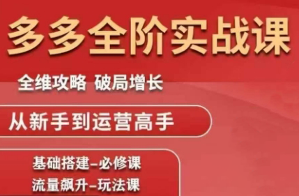 大炮·拼多多全阶实战课程(更新2026)-御文网