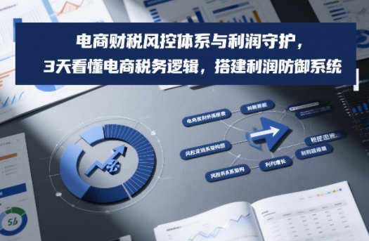 电商财税风控体系与利润守护，3天看懂电商税务逻辑，搭建利润防御系统-御文网