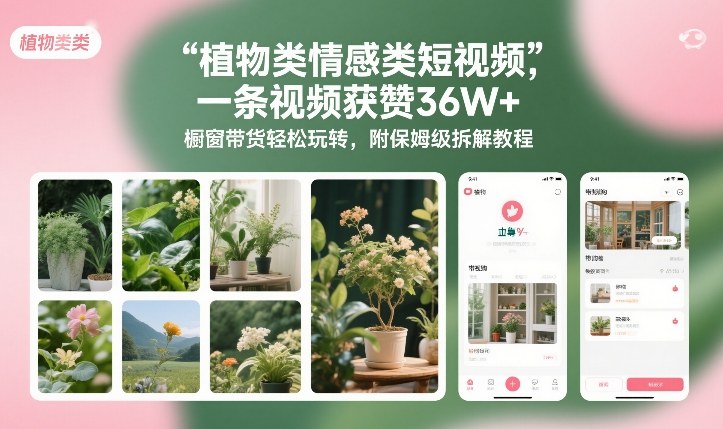植物类情感类短视频，一条视频获赞36W+，橱窗带货轻松玩转，附保姆级拆解教程-御文网