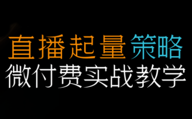 半野老师·直播带货起量与微付费必学课视频号(更新2026)-御文网