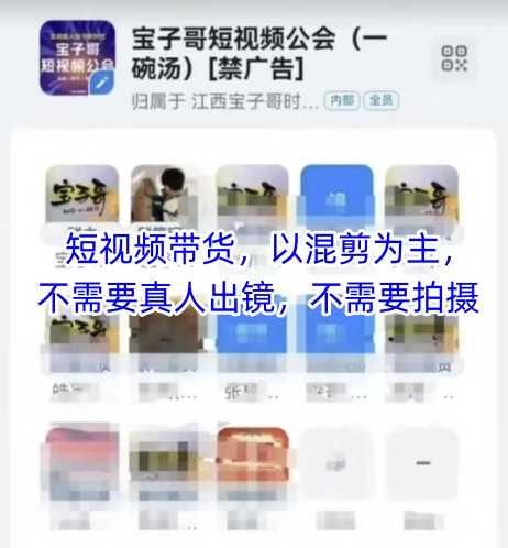 宝子哥头部团队短视频带货，以混剪为主，不需要真人出镜，不需要拍摄【更新26年1月】-御文网