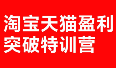 玺承·淘宝天猫盈利突破特训营(25年12月线下课)【音频+字幕】-御文网
