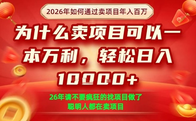 一单净利润1K+，26年想年入100个W，死磕卖项目就够了【揭秘】-御文网