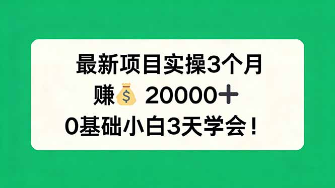 最新项目实操3个月，赚钱20000+，0基础小白3天学会！-御文网