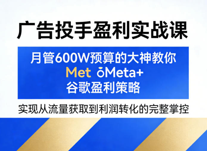 广告投手盈利实战课，月管600W预算的大神教你Meta+谷歌盈利策略，实现从流量获取到利润转化的完整掌控-御文网