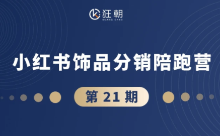 盗坤·抖音小红书视频号短视频带货与直播变现(11-21期)-大伟资源网