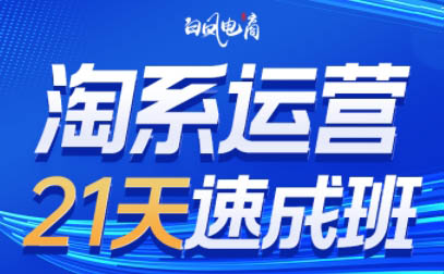 白凤电商·淘系运营21天速成班(更新4月)-大伟资源网