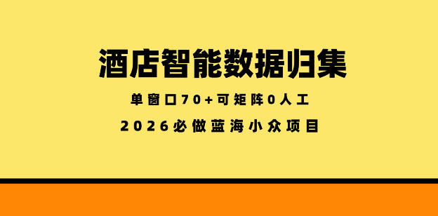 酒店智能数据归集，小众蓝海已经稳定半年之久，单窗口70+零成本矩阵开干【揭秘】-御文网