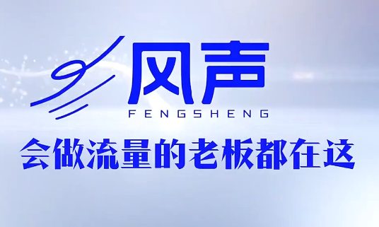 董十一·风声短视频AI获客年度会员-御文网
