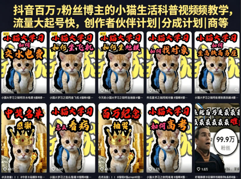 抖音百万粉丝博主的小猫生活科普视频教学，流量大起号快，创作者伙伴计划|分成计划|商单|收徒等-御文网