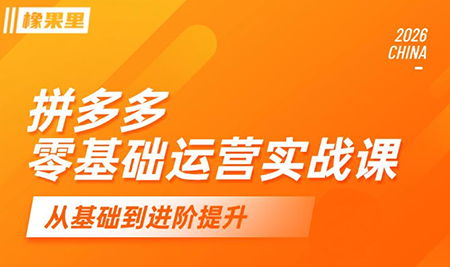 仙道电商·拼多多零基础运营实战课-御文网