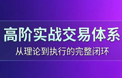 高老师·高阶实战交易体系(更新6月)-御文网