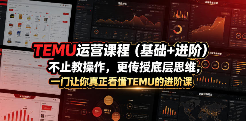 TEMU运营课程(基础+进阶)，不止教操作，更传授底层思维，一门让你真正看懂TEMU的进阶课-御文网