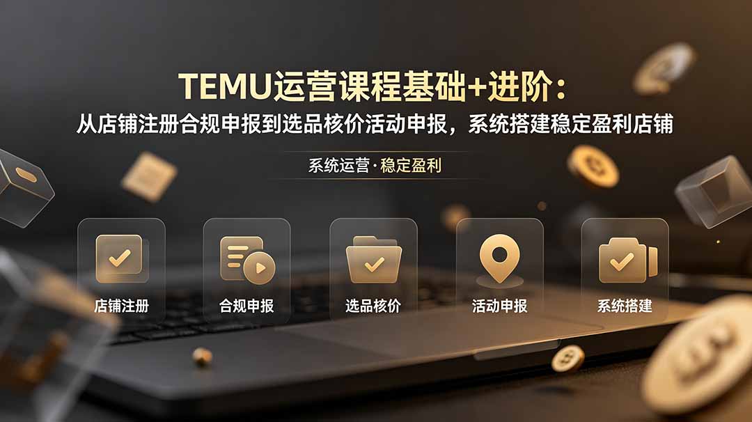 TEMU运营课程(基础+进阶-御文网