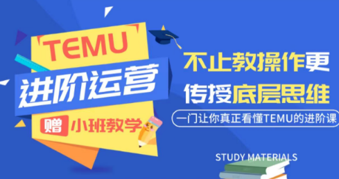 阿卡林·TEMU运营课程(基础+进阶)-御文网