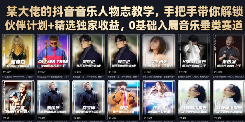 某大佬的抖音音乐人物志教学,手把手带你解锁伙伴计划+精选独家收益,0基础入局音乐垂类赛道-御文网