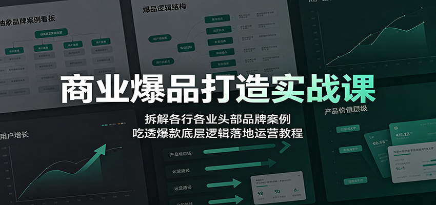 商业爆品打造实战课:拆解各行各业头部品牌案例,吃透爆款底层逻辑落地运营教程-御文网