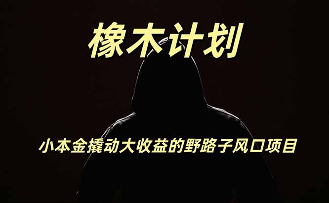橡木计划，小投入撬动高回报的风口野路子项目，一天投入2小时左右-御文网